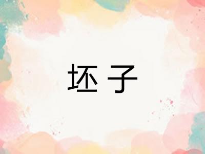 坯子