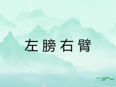 左膀右臂