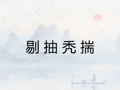 剔抽秃揣