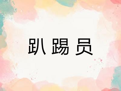 趴踢员