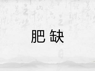 肥缺