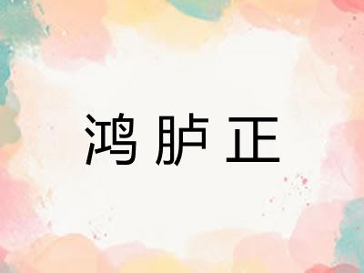 鸿胪正