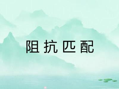 阻抗匹配