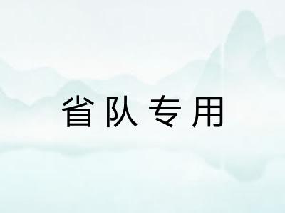 省队专用