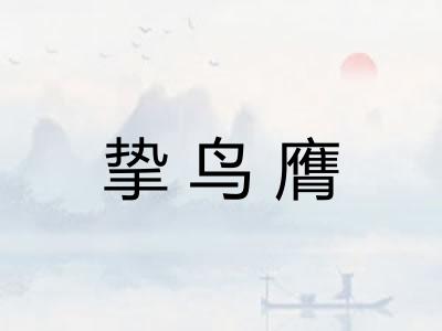 挚鸟膺