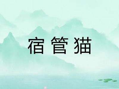 宿管猫