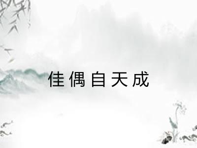 佳偶自天成