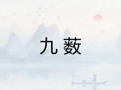 九薮