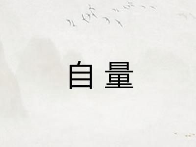 自量