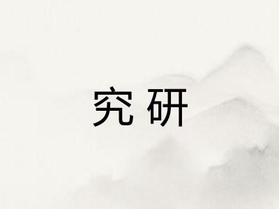 究研