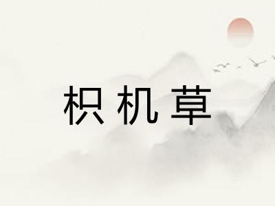 枳机草
