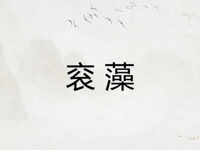 衮藻