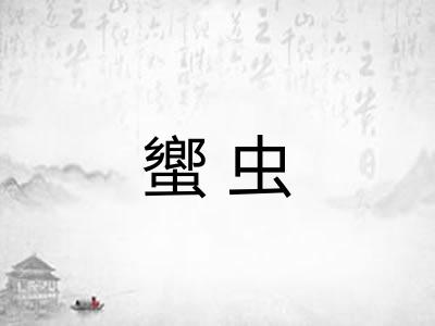 蠁虫