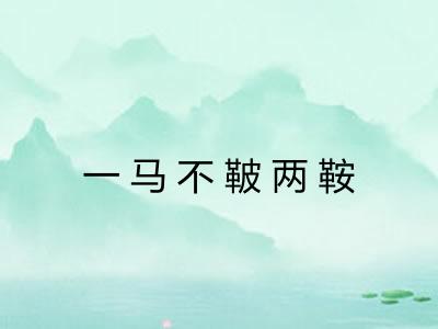 一马不鞁两鞍