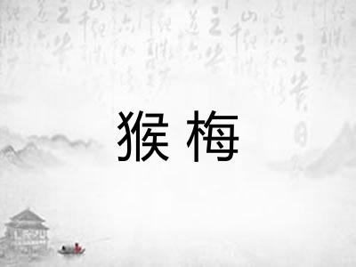 猴梅
