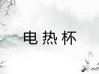 电热杯