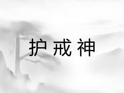 护戒神