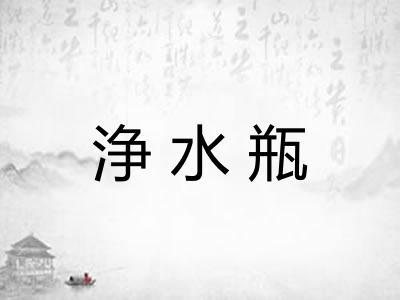 浄水瓶