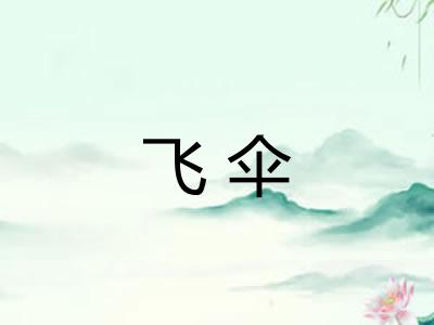 飞伞
