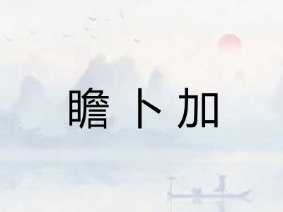 瞻卜加