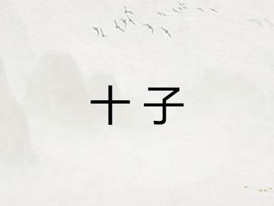 十子