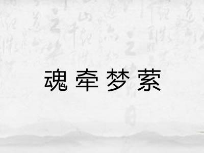 魂牵梦萦