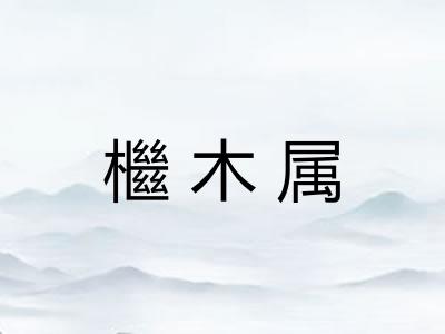 檵木属
