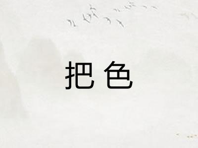 把色
