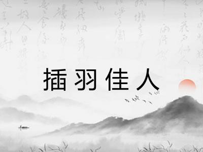 插羽佳人