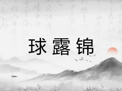 球露锦