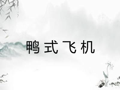 鸭式飞机