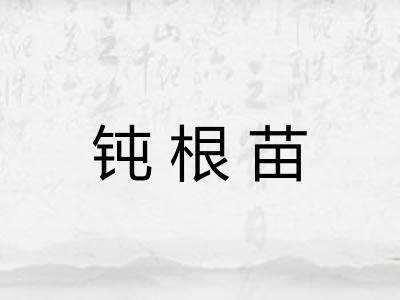 钝根苗
