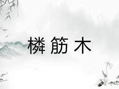 橉筋木
