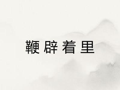 鞭辟着里