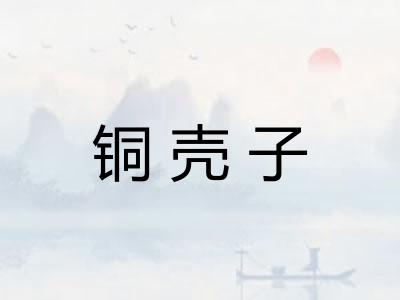 铜壳子