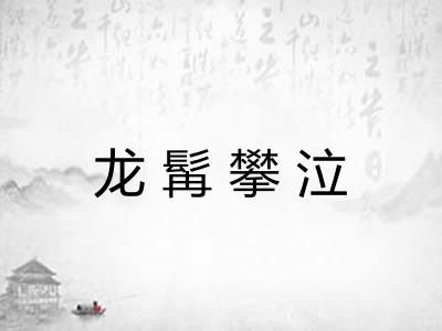 龙髯攀泣