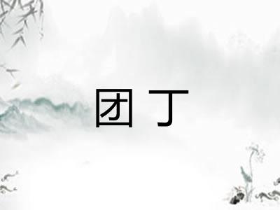 团丁