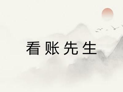 看账先生