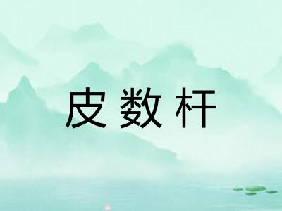 皮数杆