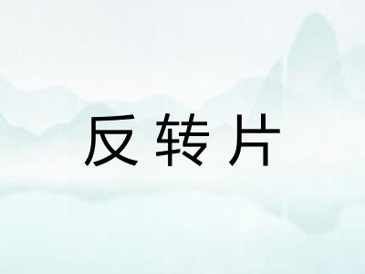 反转片