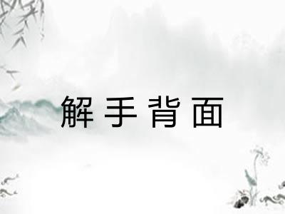 解手背面