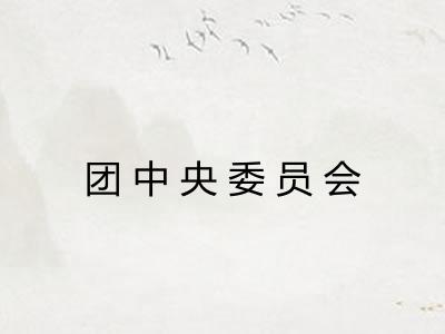 团中央委员会
