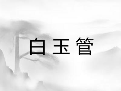 白玉管