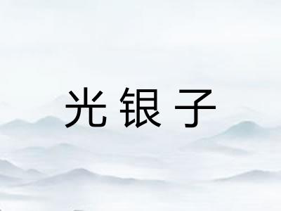 光银子