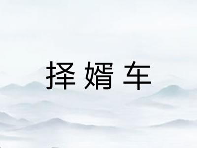择婿车