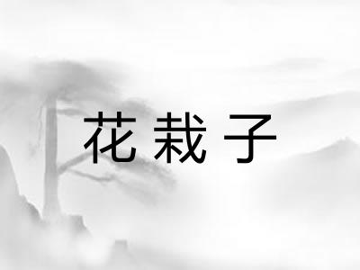 花栽子