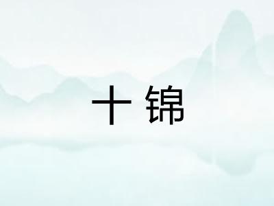 十锦