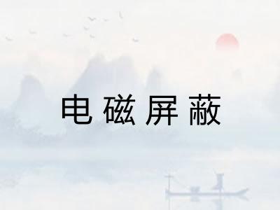 电磁屏蔽