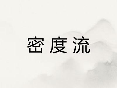 密度流