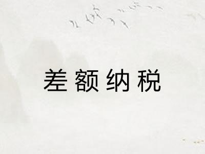 差额纳税
